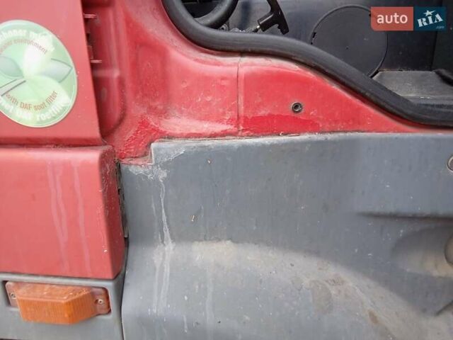 Красный Даф XF 95, объемом двигателя 12.58 л и пробегом 2 тыс. км за 10000 $, фото 8 на Automoto.ua