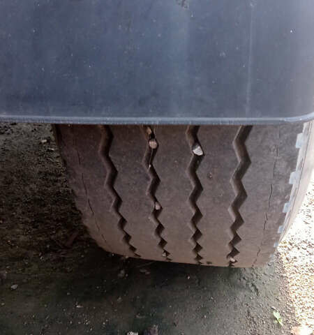 Даф XF 95, объемом двигателя 0 л и пробегом 1 тыс. км за 10000 $, фото 2 на Automoto.ua