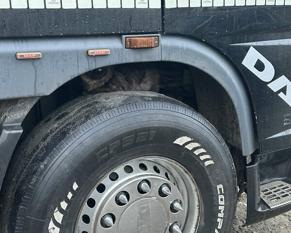 Даф XF 95, объемом двигателя 0 л и пробегом 100 тыс. км за 7500 $, фото 5 на Automoto.ua