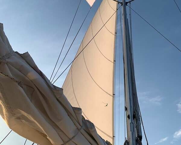 Дейлер Delanta, объемом двигателя 0 л и пробегом 0 тыс. км за 11000 $, фото 9 на Automoto.ua