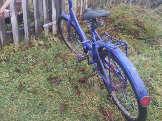 Дельта Другая, объемом двигателя 70 л и пробегом 0 тыс. км за 119 $, фото 4 на Automoto.ua