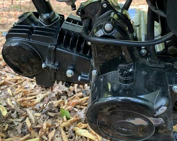 Черный Динго T150, объемом двигателя 0.25 л и пробегом 2 тыс. км за 25000 $, фото 6 на Automoto.ua