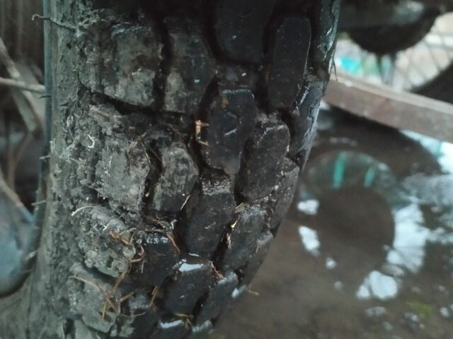 Дніпро Інша, об'ємом двигуна 0 л та пробігом 0 тис. км за 356 $, фото 3 на Automoto.ua