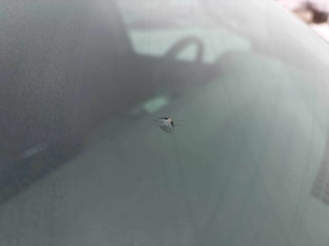 Білий Додж RAM, об'ємом двигуна 3 л та пробігом 48 тис. км за 27000 $, фото 23 на Automoto.ua