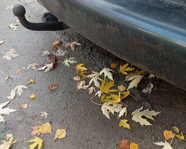 Зеленый Додж Рам Ван, объемом двигателя 2.5 л и пробегом 360 тыс. км за 3900 $, фото 3 на Automoto.ua