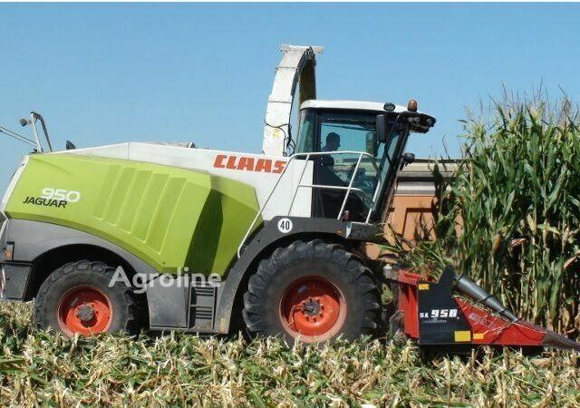 Червоний Доміноні Другая, об'ємом двигуна 0 л та пробігом 0 тис. км за 45386 $, фото 13 на Automoto.ua