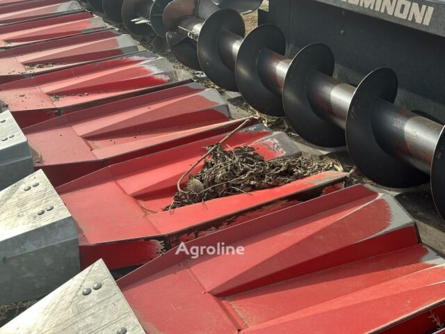 Доміноні Другая, об'ємом двигуна 6 л та пробігом 0 тис. км за 28953 $, фото 15 на Automoto.ua