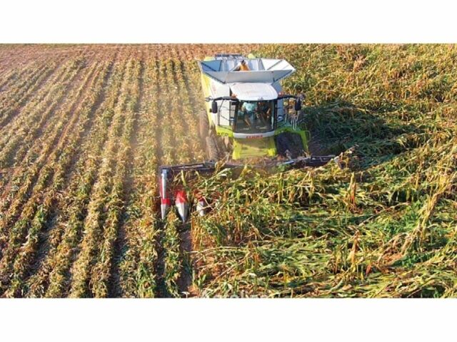 Доминони Другая, объемом двигателя 0 л и пробегом 0 тыс. км за 51524 $, фото 2 на Automoto.ua