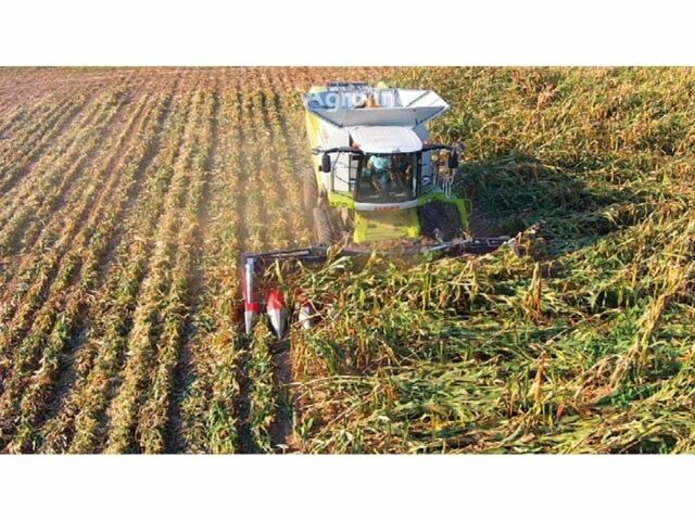 Доминони Другая, объемом двигателя 0 л и пробегом 0 тыс. км за 95750 $, фото 1 на Automoto.ua