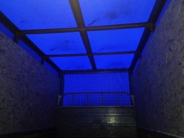 Белый Донг Фенг Другая, объемом двигателя 3.7 л и пробегом 0 тыс. км за 6500 $, фото 1 на Automoto.ua