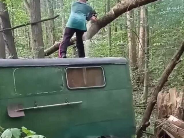 Другая Другая, объемом двигателя 0 л и пробегом 0 тыс. км за 716 $, фото 8 на Automoto.ua