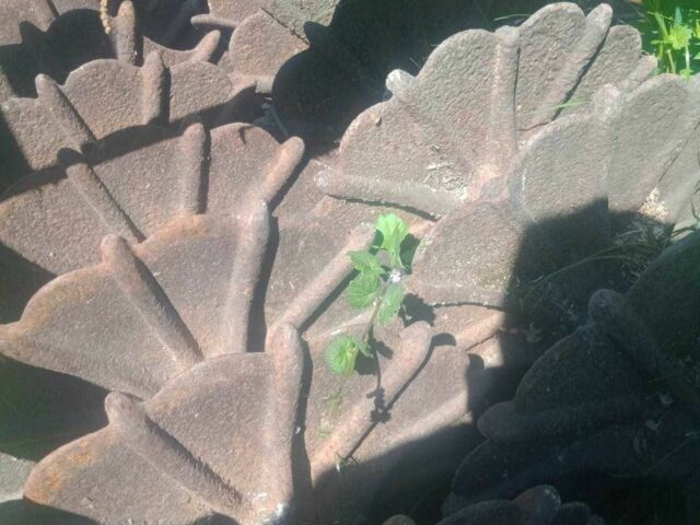 Другая Другая, объемом двигателя 0 л и пробегом 0 тыс. км за 11000 $, фото 3 на Automoto.ua