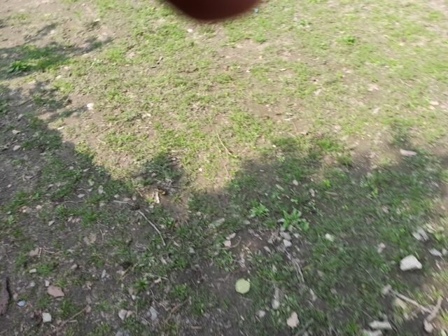 Другая Другая, объемом двигателя 0 л и пробегом 0 тыс. км за 4000 $, фото 2 на Automoto.ua