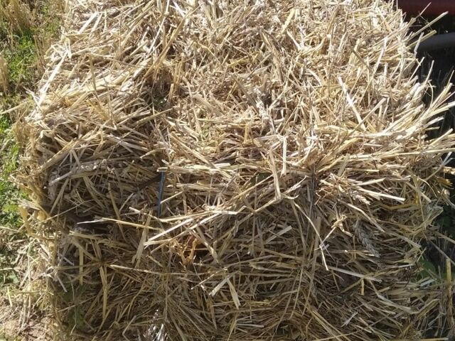 Другая Другая, объемом двигателя 0 л и пробегом 0 тыс. км за 2900 $, фото 3 на Automoto.ua