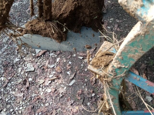 Другая Другая, объемом двигателя 0 л и пробегом 0 тыс. км за 11000 $, фото 1 на Automoto.ua