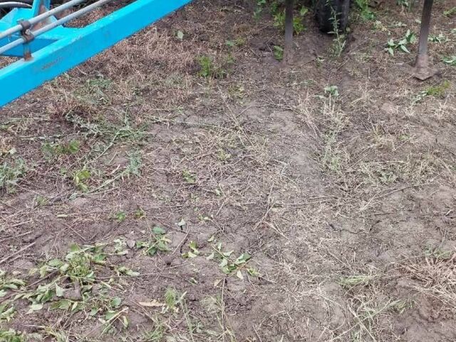 Другая Другая, объемом двигателя 0 л и пробегом 0 тыс. км за 3155 $, фото 3 на Automoto.ua