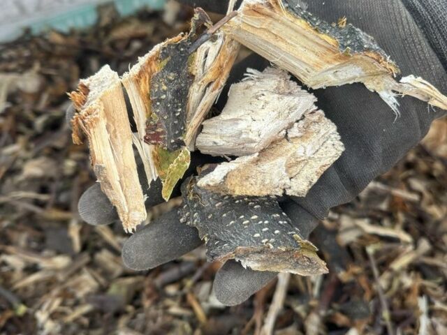 Другая Другая, объемом двигателя 0 л и пробегом 0 тыс. км за 510 $, фото 2 на Automoto.ua