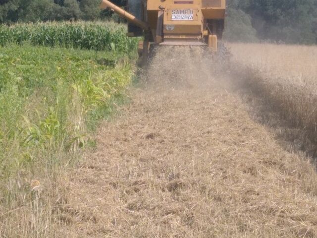 Другая Другая, объемом двигателя 0 л и пробегом 0 тыс. км за 10100 $, фото 3 на Automoto.ua