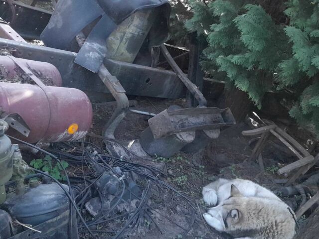 Другая Другая, объемом двигателя 0 л и пробегом 0 тыс. км за 3000 $, фото 6 на Automoto.ua