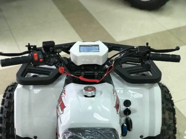 Інша Інша, об'ємом двигуна 0.13 л та пробігом 0 тис. км за 1300 $, фото 3 на Automoto.ua