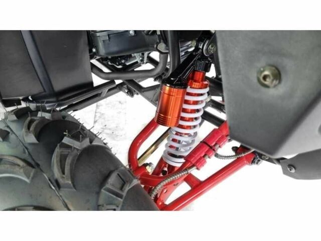 Другая Другая, объемом двигателя 0.25 л и пробегом 0 тыс. км за 1879 $, фото 12 на Automoto.ua