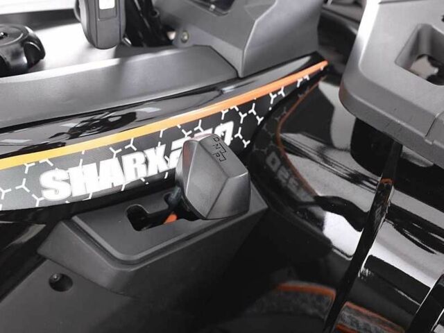 Інша Інша, об'ємом двигуна 0.25 л та пробігом 0 тис. км за 2410 $, фото 13 на Automoto.ua