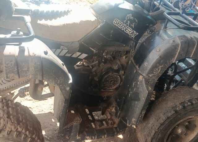 Другая Другая, объемом двигателя 0.2 л и пробегом 0 тыс. км за 620 $, фото 3 на Automoto.ua