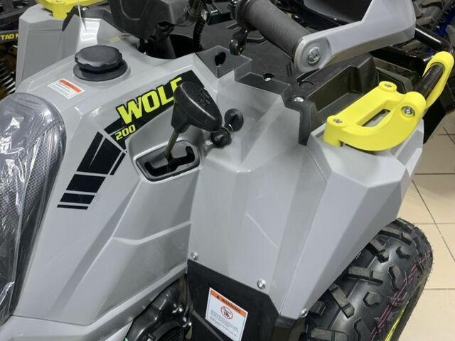 Інша Інша, об'ємом двигуна 0.2 л та пробігом 0 тис. км за 2250 $, фото 10 на Automoto.ua