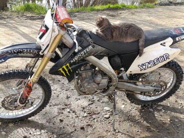 Інша Інша, об'ємом двигуна 0.25 л та пробігом 0 тис. км за 1701 $, фото 2 на Automoto.ua