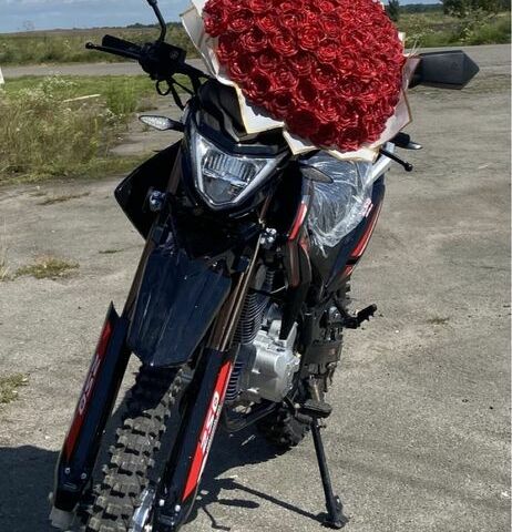 Інша Інша, об'ємом двигуна 0.25 л та пробігом 0 тис. км за 1260 $, фото 6 на Automoto.ua