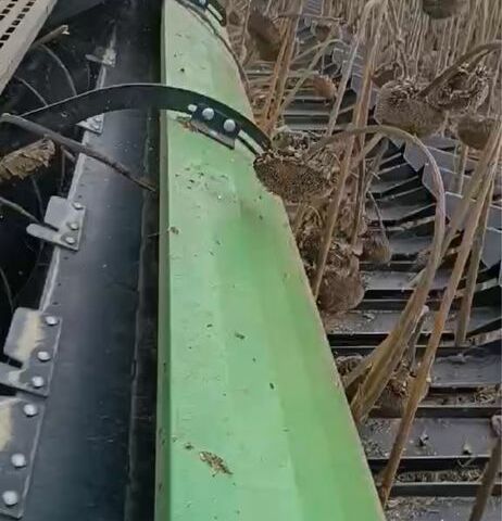 Другая Другая, объемом двигателя 0 л и пробегом 0 тыс. км за 12000 $, фото 3 на Automoto.ua