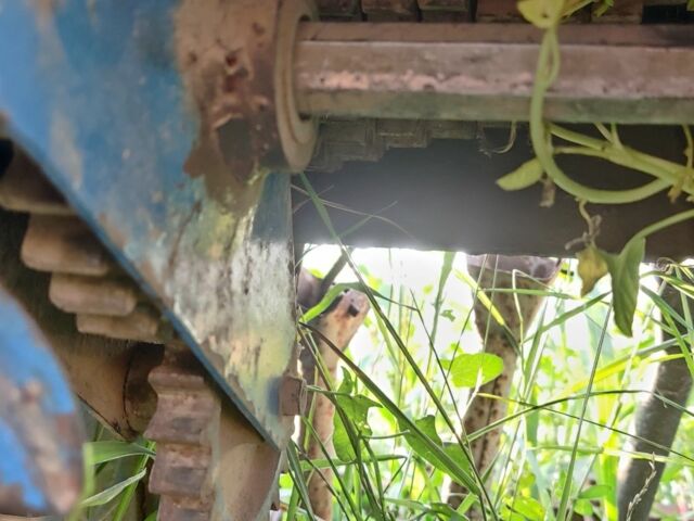 Другая Другая, объемом двигателя 0 л и пробегом 0 тыс. км за 1200 $, фото 5 на Automoto.ua