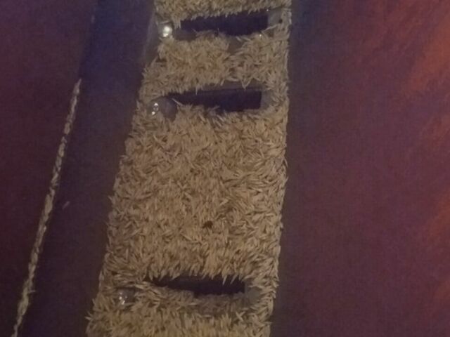 Другая Другая, объемом двигателя 0 л и пробегом 0 тыс. км за 2000 $, фото 7 на Automoto.ua