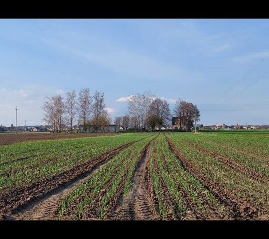 Другая Другая, объемом двигателя 0 л и пробегом 0 тыс. км за 1191 $, фото 5 на Automoto.ua