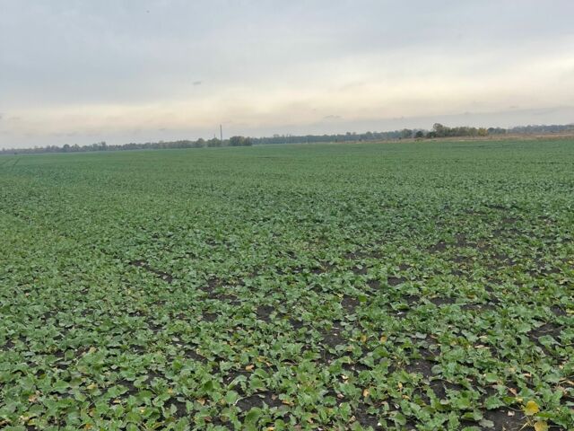 Другая Другая, объемом двигателя 0 л и пробегом 0 тыс. км за 111130 $, фото 11 на Automoto.ua