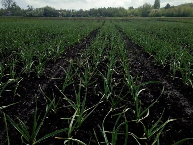 Другая Другая, объемом двигателя 0 л и пробегом 0 тыс. км за 360 $, фото 8 на Automoto.ua