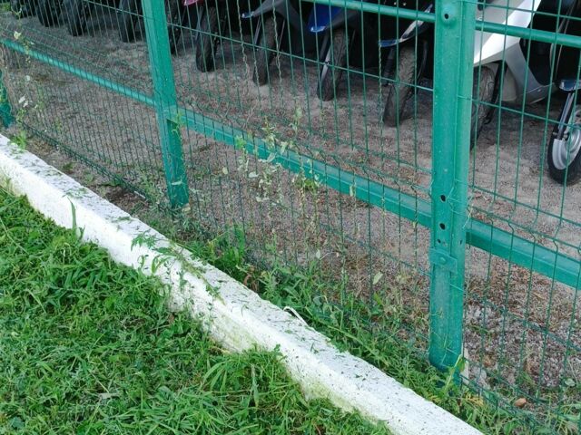 Другая Другая, объемом двигателя 49 л и пробегом 0 тыс. км за 550 $, фото 4 на Automoto.ua