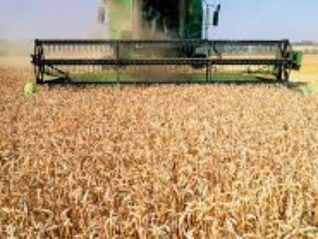 Другая Другая, объемом двигателя 0 л и пробегом 0 тыс. км за 3000 $, фото 3 на Automoto.ua