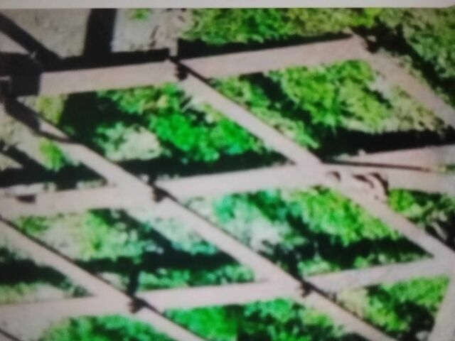 Другая Другая, объемом двигателя 0 л и пробегом 0 тыс. км за 48 $, фото 1 на Automoto.ua