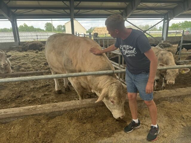 Другая Другая, объемом двигателя 0 л и пробегом 0 тыс. км за 10000 $, фото 6 на Automoto.ua