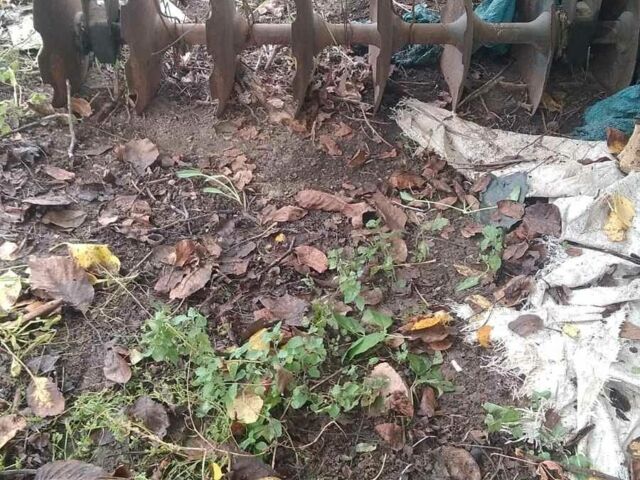 Другая Другая, объемом двигателя 0 л и пробегом 0 тыс. км за 435 $, фото 2 на Automoto.ua