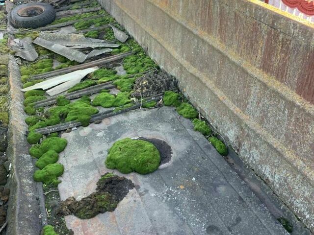 Інша Інша, об'ємом двигуна 0 л та пробігом 0 тис. км за 1909 $, фото 6 на Automoto.ua