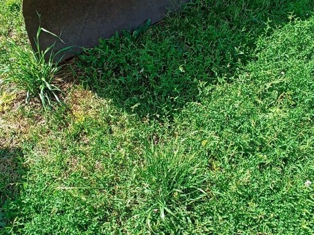 Другая Другая, объемом двигателя 0 л и пробегом 0 тыс. км за 131 $, фото 3 на Automoto.ua