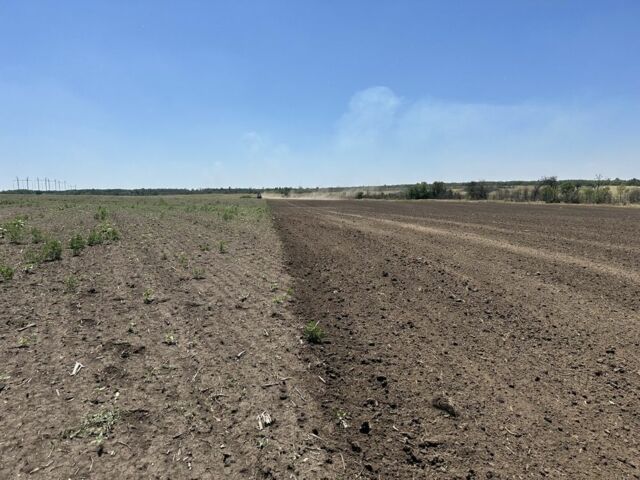 Другая Другая, объемом двигателя 0 л и пробегом 0 тыс. км за 12000 $, фото 4 на Automoto.ua