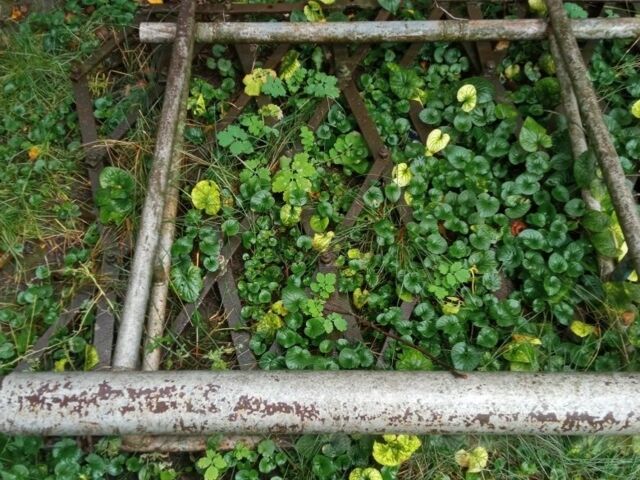 Другая Другая, объемом двигателя 0 л и пробегом 0 тыс. км за 474 $, фото 2 на Automoto.ua