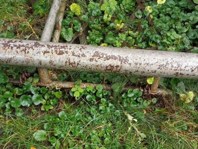 Другая Другая, объемом двигателя 0 л и пробегом 0 тыс. км за 474 $, фото 3 на Automoto.ua