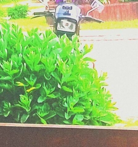 Другая Другая, объемом двигателя 0 л и пробегом 0 тыс. км за 286 $, фото 4 на Automoto.ua