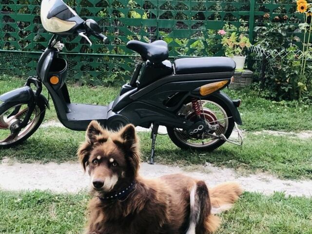 Другая Другая, объемом двигателя 0 л и пробегом 0 тыс. км за 298 $, фото 1 на Automoto.ua