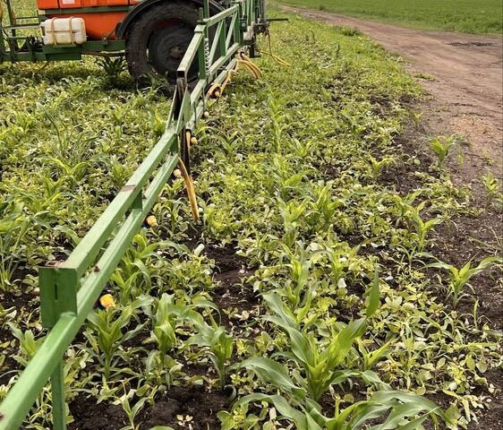 Інша Інша, об'ємом двигуна 0 л та пробігом 0 тис. км за 3500 $, фото 1 на Automoto.ua