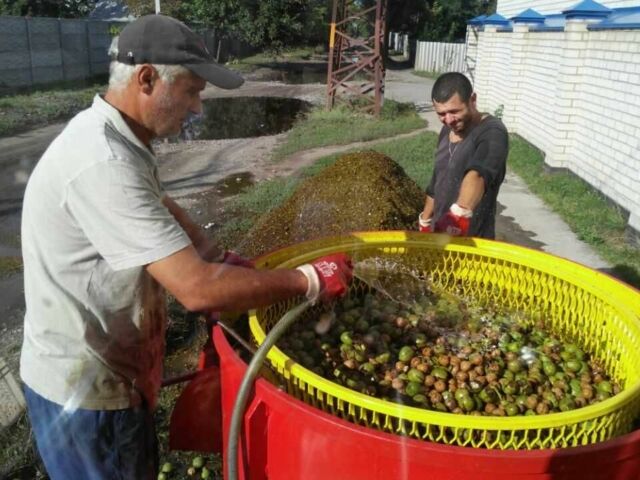 Другая Другая, объемом двигателя 0 л и пробегом 0 тыс. км за 1065 $, фото 4 на Automoto.ua